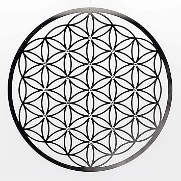 Pared De Decoracion Flor De La Vida De Acero Inoxidable Con Cristales Joyas De Pared Vida Decoracion De Pared Floral Glam And Simbolo Esoterik Regalos Gunstig Comprar Amazon Es Juguetes Y Juegos