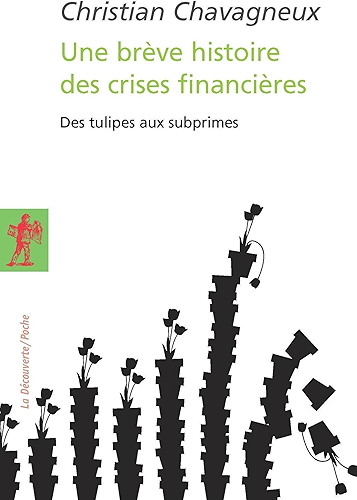 Download Une brève histoire des crises financières (POCHES ESSAIS t. 394) PDF