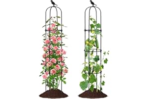 FOLLOOK Garden Trellis for Climbing Plant Outdoor, 67" Tall Cucumber Trellis for Pot Raised Bed Climbing Vine Plants Vegetable Pea Bean Tomato Rose Clematis Cucumber Trellis, 2 Pack