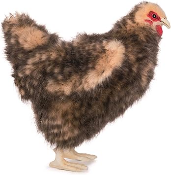 gallina peluche