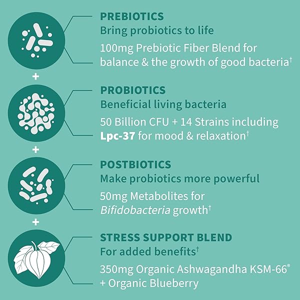 GARDEN OF LIFE DR FORMULATED CALM DAILY 3-IN-1 COMPLETE PROBIOTICS, PREBIOTICS & POSTBIOTICS WITH ASHWAGANDHA – PRE + PRO + POSTBIOTIC SUPPLEMENT FOR IMMUNE, DIGESTIVE & MOOD SUPPORT – 30 DAY SUPPLY