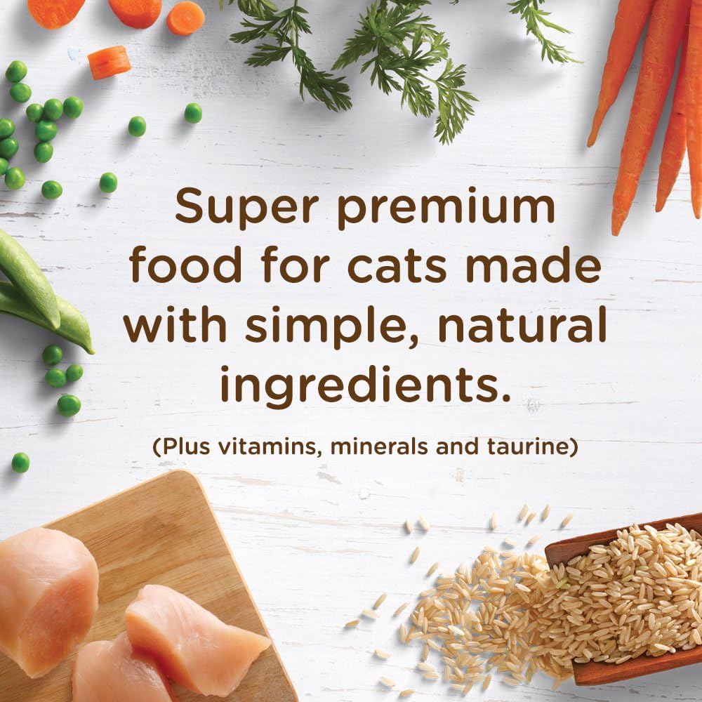 Rachael Ray Nutrish Premium Natural Dry Cat Food, Real Chicken & Brown Rice Recipe, 14 Pounds : Pet Supplies