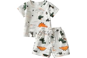 Baby Boy Summer Outfit Infant Short Sleeve T-Shirt Dinosaur Shorts 2PCS Clothes Set