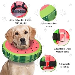 Dog Cone Collar for Small Medium Large Dogs for