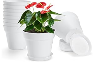 10 Pack Plastic Plant Pots with Drainage Holes and Tray, 6 inch Thickened Indoor Planters Seedlings Nursery Pots for Flowers,