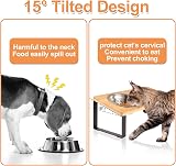 Radsocken Elevated Cat Food Bowls 15° Tilted Stainless Steel with Wooden Stand view 4