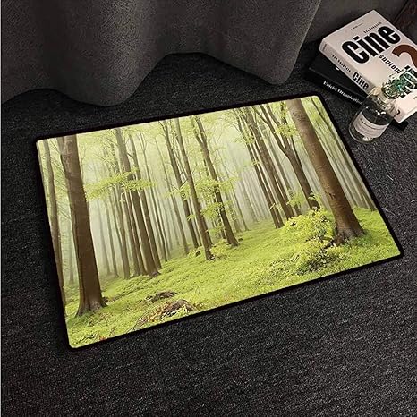 Amazon Com Hccjlcks Outdoor Doormat Woodland Misty Spring