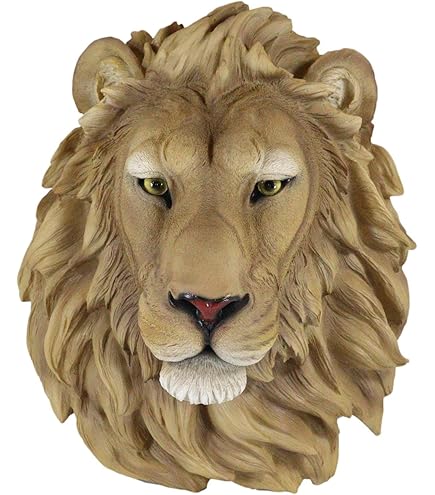 Amazon.com: Ebros Simba Safari 叢林之王獅子頭牆壁裝飾牌匾9.25 英吋