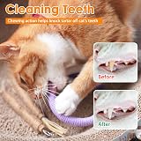 Nepfaivy Cat Toys Chew Ropes 6 PCS Catnip Dental Sticks Indoor Cats view 4