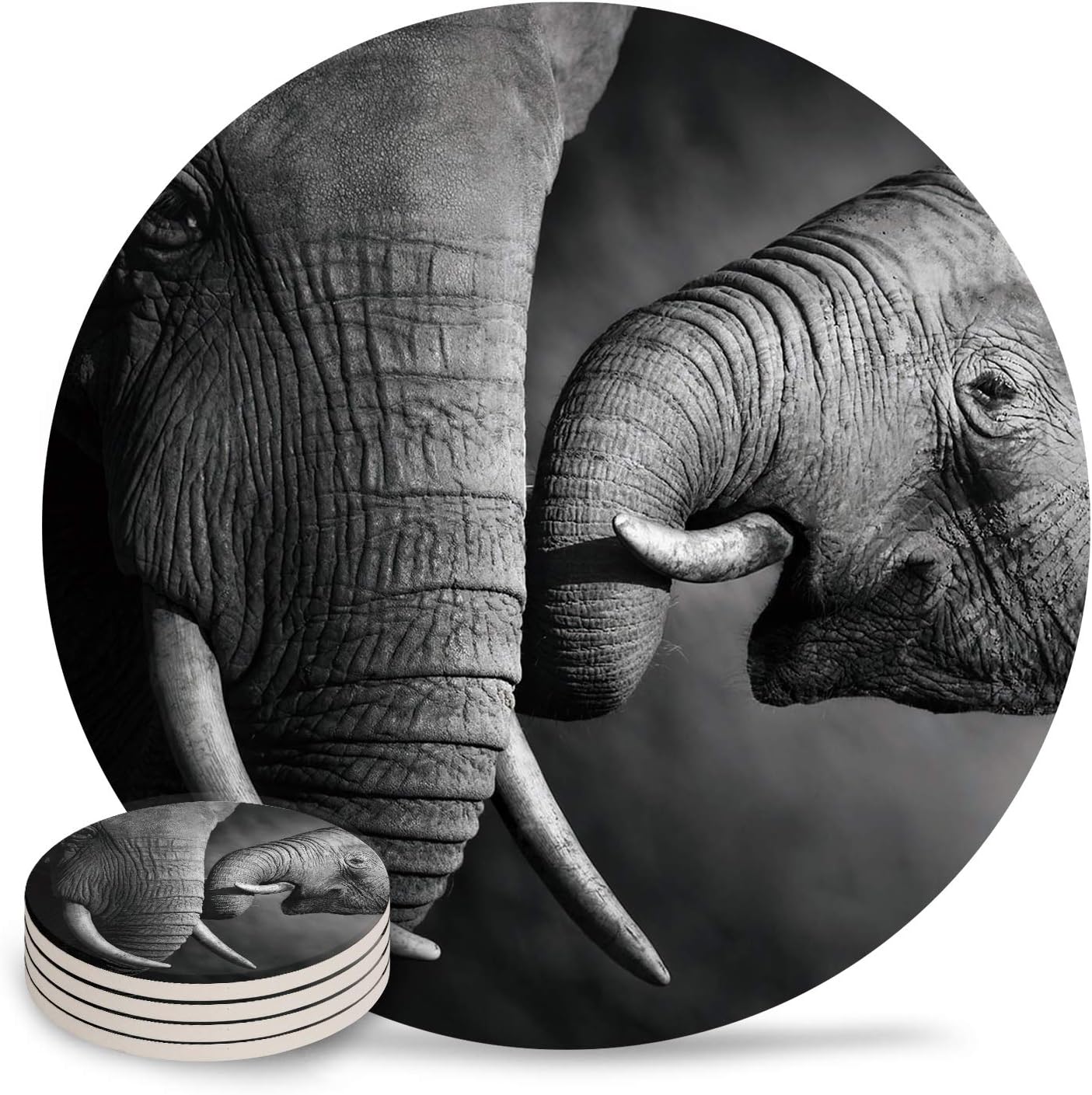 Animal Theme Coasters Set of 6, Absorbent Drink Coaster