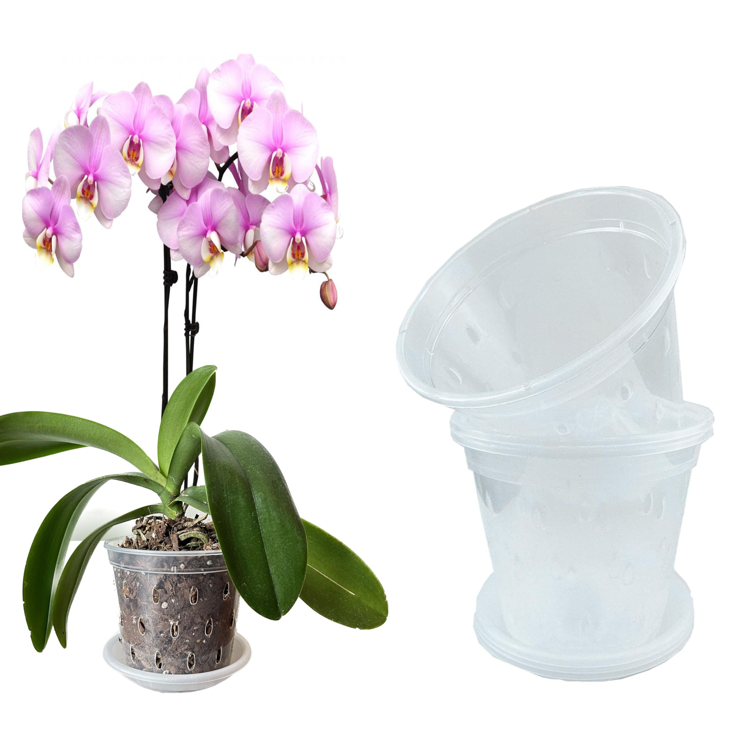 Mesoar 17cm Orchid Pots,Clear Plastic Orchid Pots with Holes and Saucers for Plants Flower Nursery Pots for Orchid Repotting Indoor and Outdoor Use (6, 17cm with Saucers)
