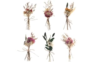 Fumwase 6Pcs Mini Dried Flower Bouquet Natural Real Flowers for Crafts Boho Dried Flowers Bulk Small Dried Flowers for Vase D