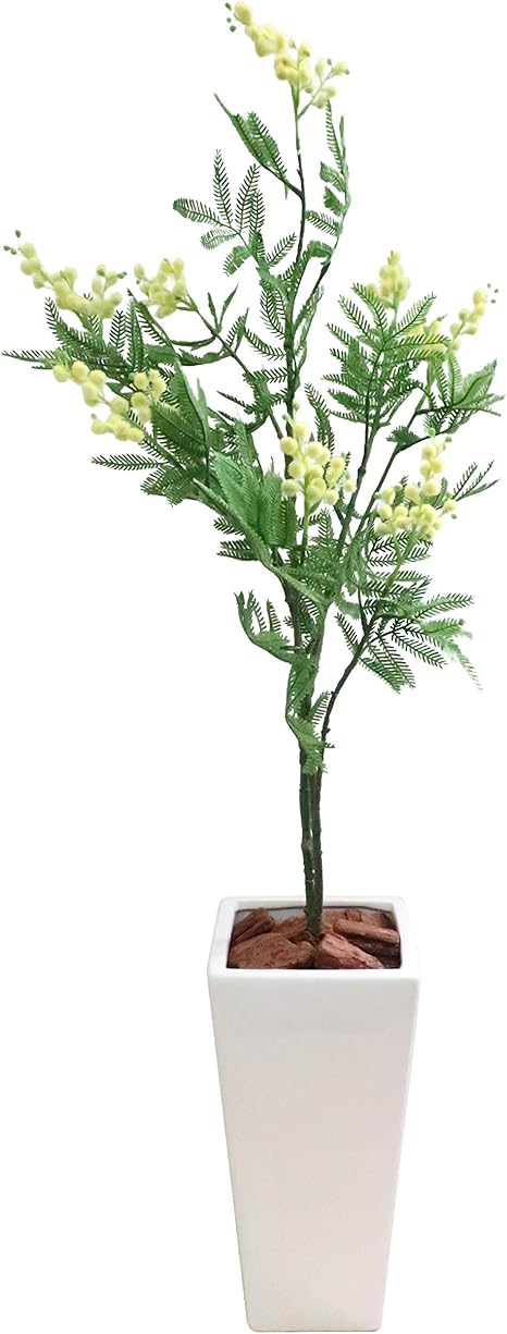Amazon 人工観葉植物 Fian ミモザ 94cm 鉢植 白鉢セット Ct触媒加工済 人工観葉植物 オンライン通販