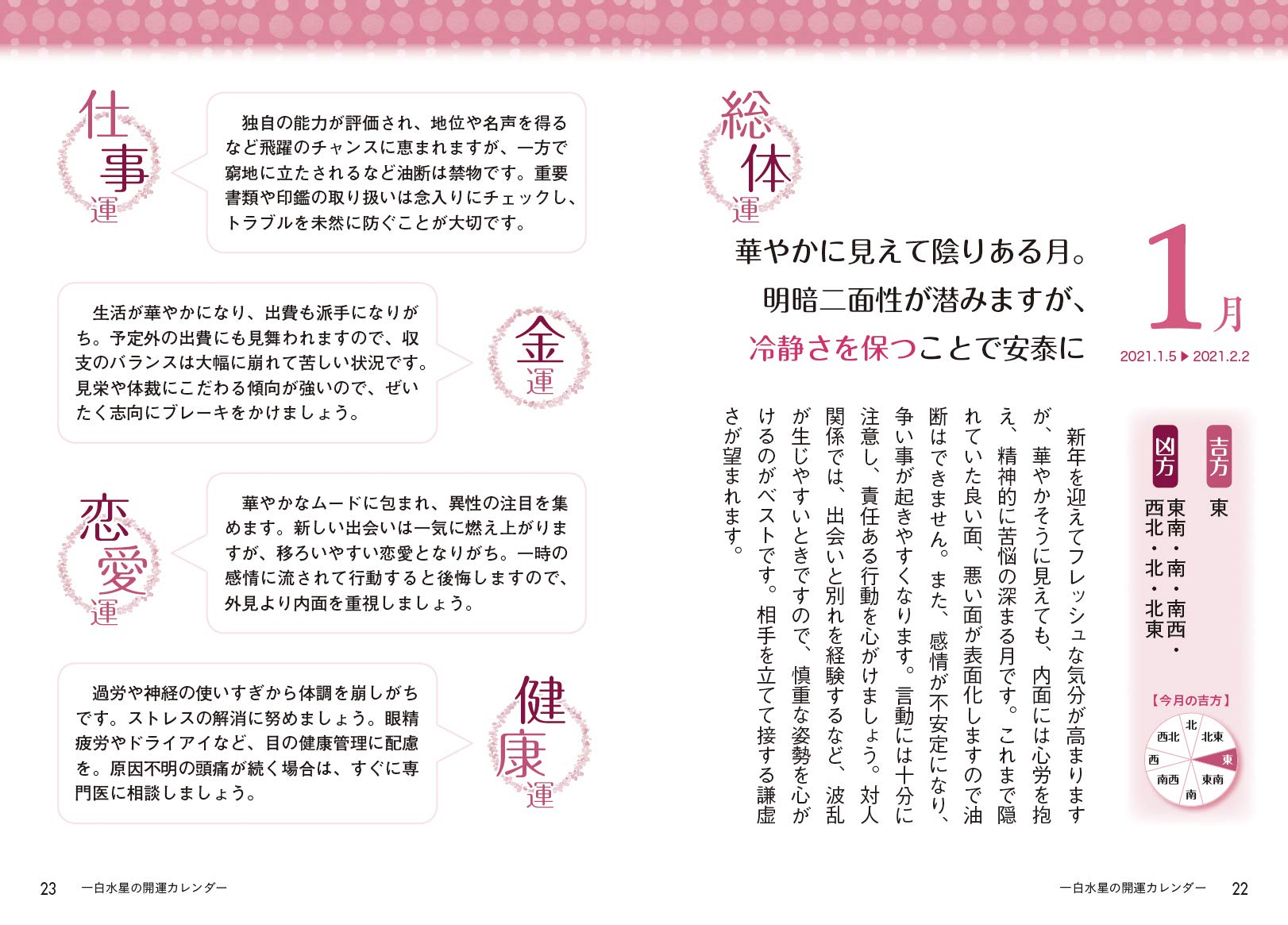 21年版 一白水星 九星運勢占い 田口 二州 純正運命学会 本 通販 Amazon