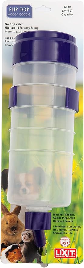 quiet rabbit water bottle