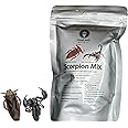 Thailand Unique Scorpion Mix - 2 Pieces with Asian Forest and Giant Water Scorpion, Dehydrated Edible Insects for Humans, Nutritious Bugs Superfood Weird Unusual Snack Gift