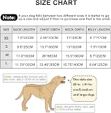 Runmeihe Dog Cooling Coat Vest Harness for Dogs Medium Large Small S view 7