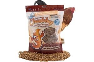 Chubby Dried Mealworms | 0.91 kg | High Protein Non GMO Insect Treat for Wild Birds, Chickens & Backyard Feeders