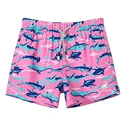 SURF CUZ Boys Swim Trunks Toddler Swim Shorts UPF