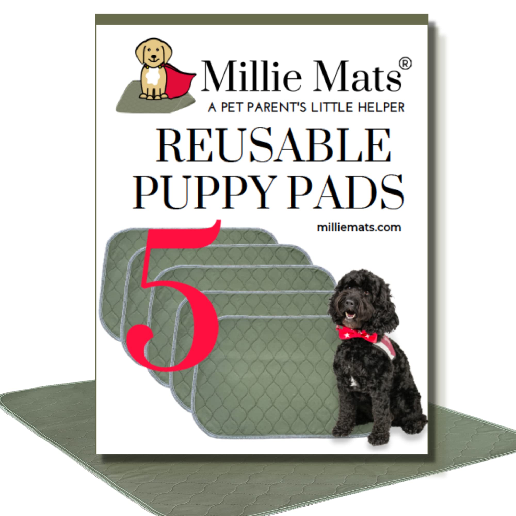 Millie Mats 5-Pack Washable Training Puppy Pads for Small Dogs and Cats, Use on 24-inch Crate, Chair Pad, Travel Carrier Liner. Incontinent & Bedwetting aid for senior or sick dogs and cats.