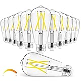 Hizashi Vintage LED Edison Bulb Dimmable, 6W