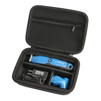 remington lithium pg6025