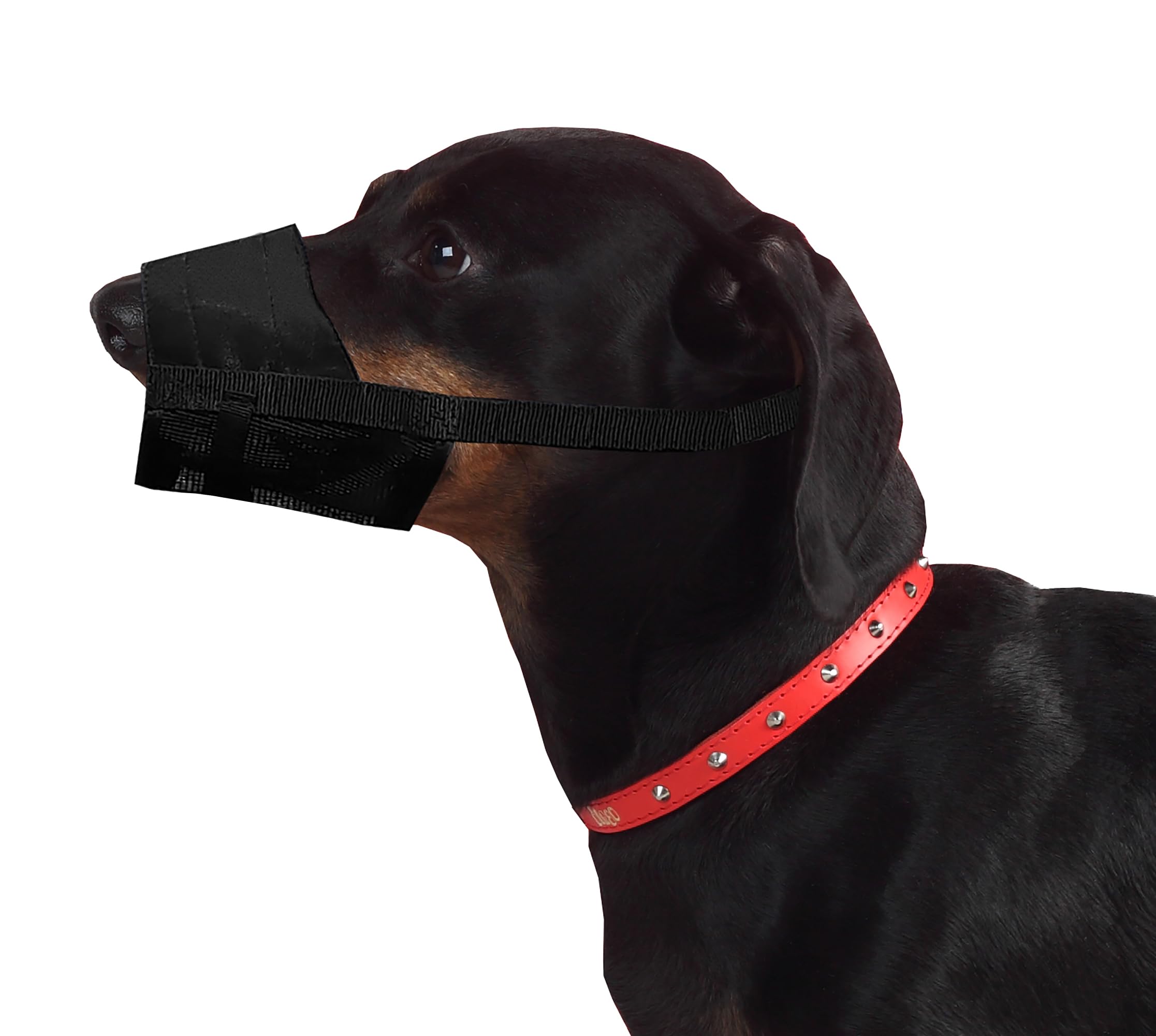 Dingo Waldemar Rutkowski Adjustable Nylon Muzzle Breathable Mesh for Small Breeds, Puppy, Jack Russell, Dachshund, Basset, XS Black 16773-2