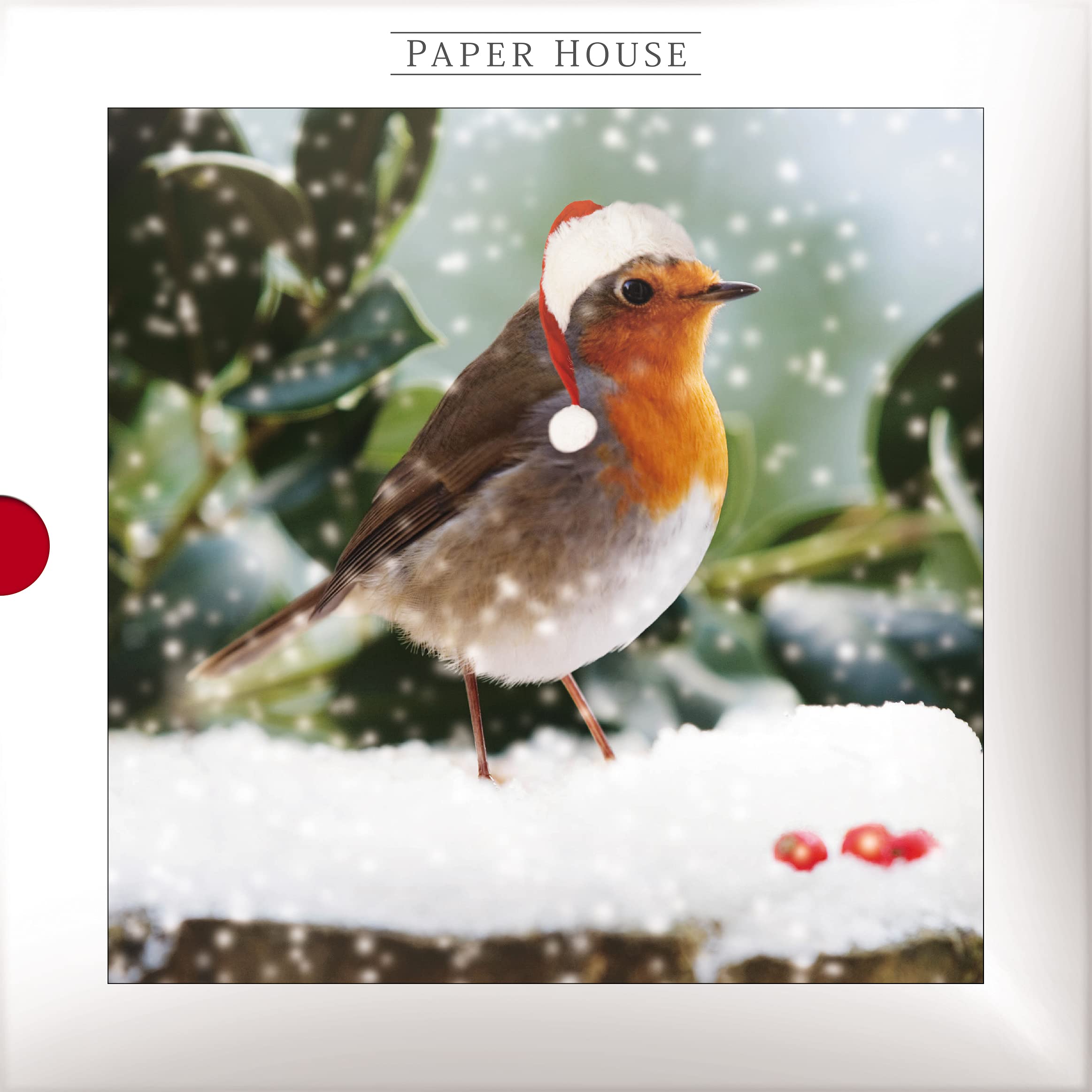 Paper House Box of 16 Photographic Christmas Cards - Festive Visitor and Robin - from the Darkroom Range - 16 Cards. 8 Each of 2 Designs