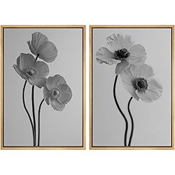 MUDECOR Framed Canvas Print Wall Art Set Monochrome