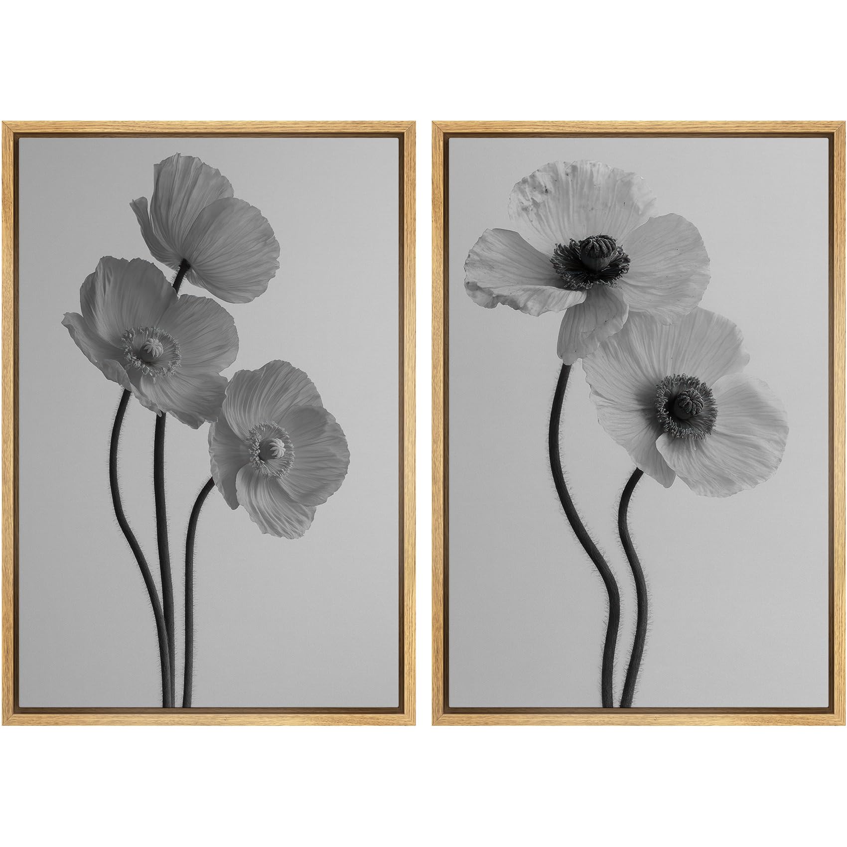 MUDECOR Framed Canvas Print Wall Art Set Monochrome