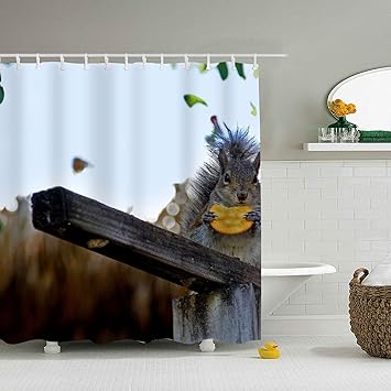 Amazon Com Fornate Quick Dry Animal Squirrel Shower Curtain Bath