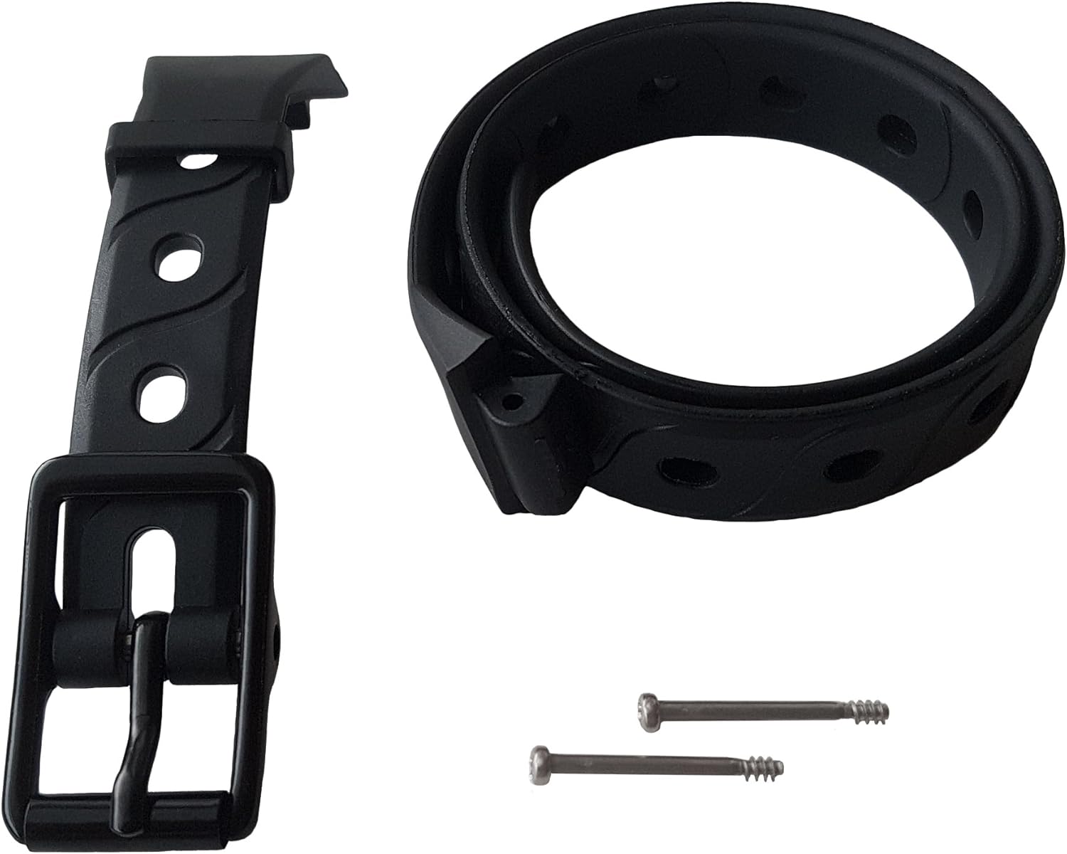 can an old cat get along with a kitten