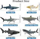 toymany 6PCS 12-14CM Realistic Shark Bath Toy Figurines Sea Animals Set Kids view 4