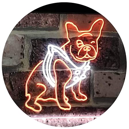 AdvpPro 2C French Bulldog Dog House Dual Color LED Neon Sign White & Orange 300mm x 210mm st6s32-j2126-wo