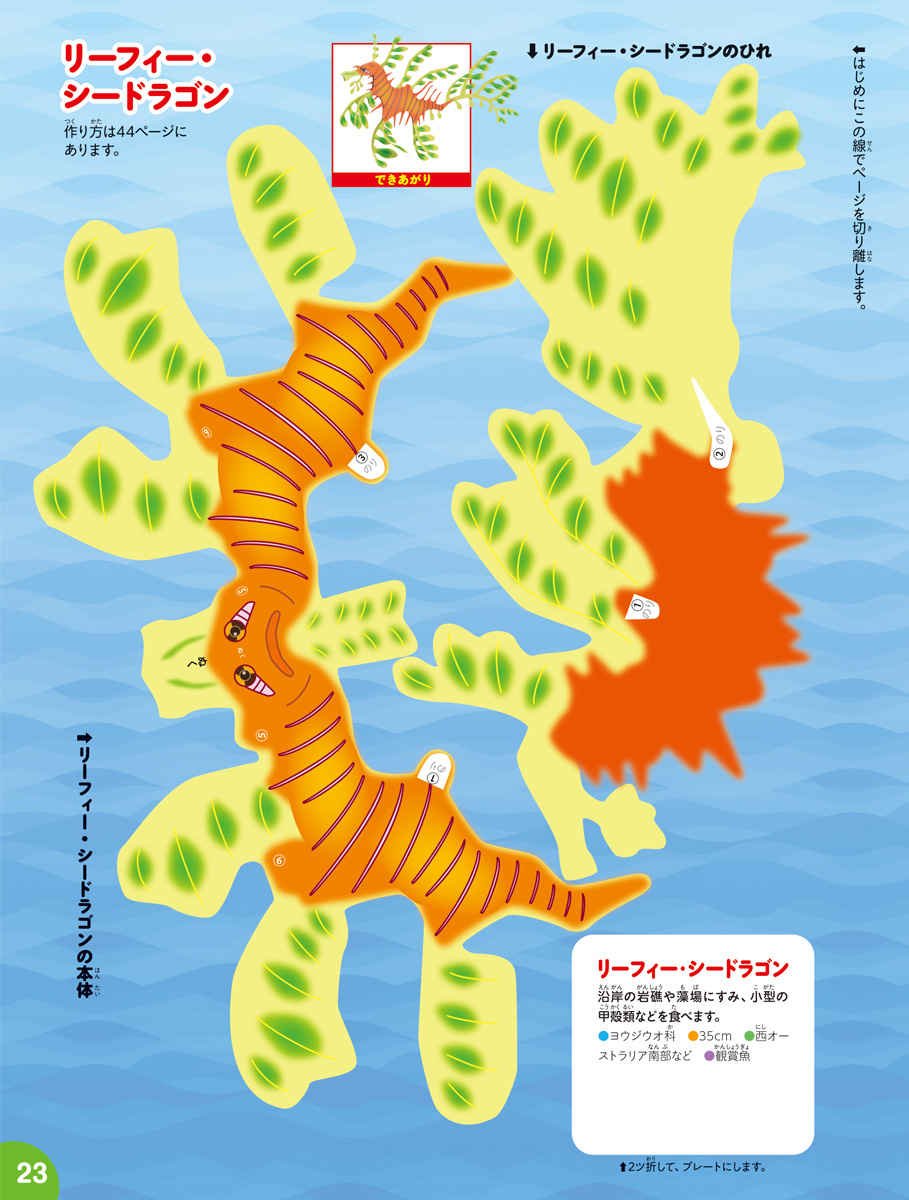 新りったいさかな館 小学館の図鑑neoのクラフトぶっく 神谷 正徳 本 通販 Amazon
