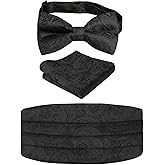 Alizeal Men's Paisley Cummerbund and UNTIED Bow Tie Hanky Set