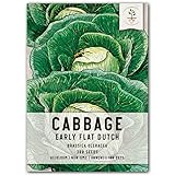 Seed Needs, Early Flat Dutch Cabbage Seeds for