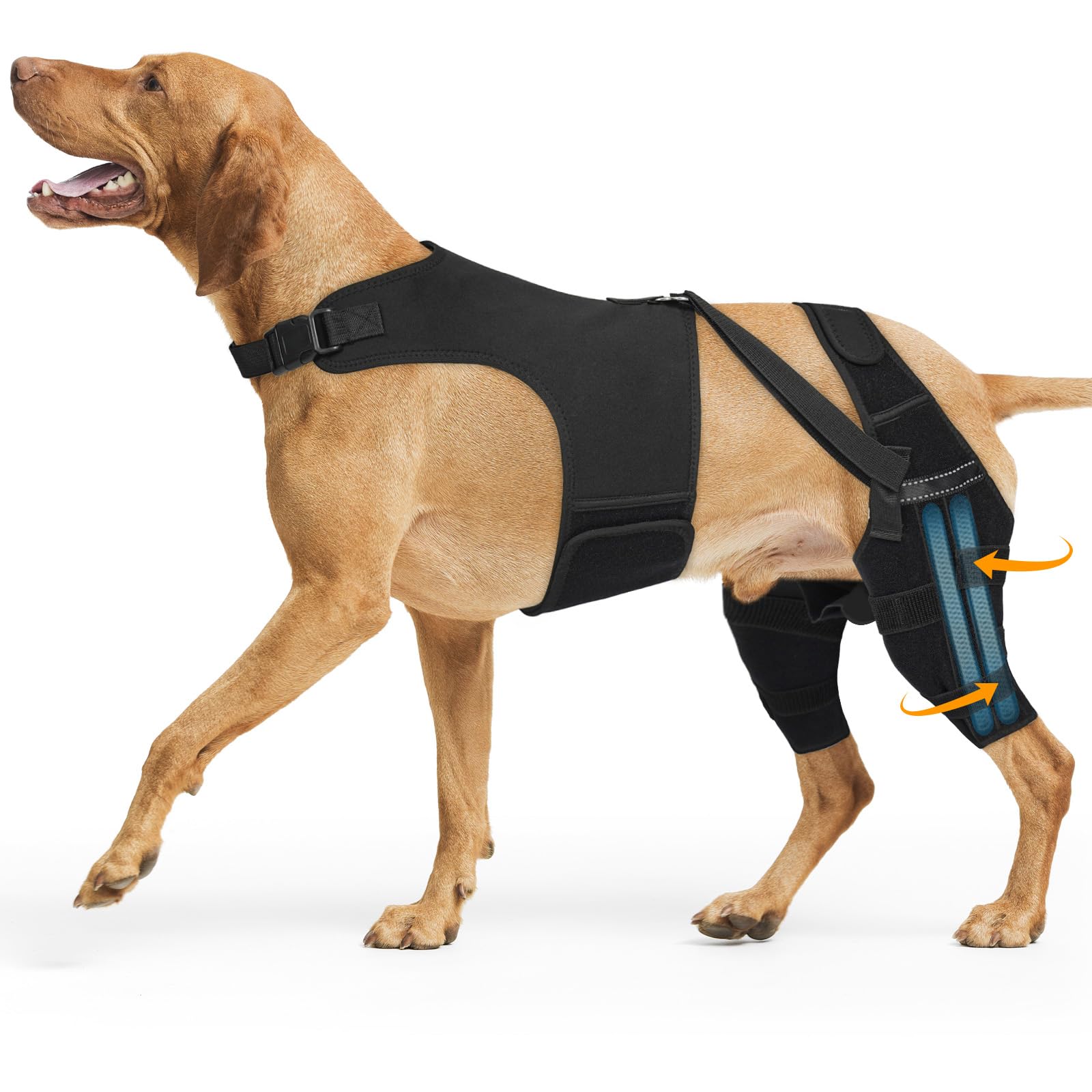 Photo 1 of Marnonsis Dog Knee Braces for Back Leg, Adjustable ACL Brace for Dogs with 4 Stabilizers, Hip Support to Reduces Pain, Ligament Injuries & Luxating Patella for Small Medium Large Dogs