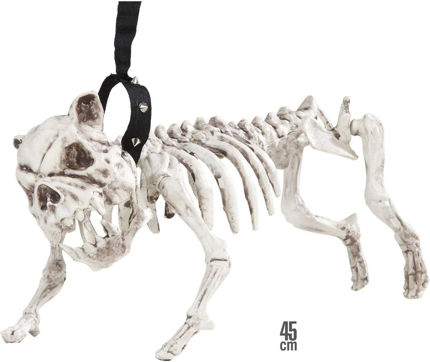Widmann 01373 ? Skeleton Dog with Lead, 45 cm, Off-white - Image 4