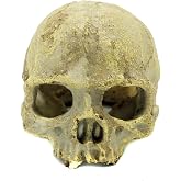 JIHAQUA Aquarium Resin Skull Ornament Snake Hide Decor, Habitat | Reptile Tank Accessories, Basking