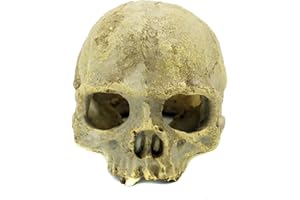 JIHAQUA Aquarium Resin Skull, Reptile Tank Accessories Ornament Basking Snake Hide Decor Habitat