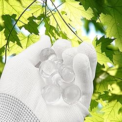 Knucklebone Clear Bone Toys, Polycarbonate Material