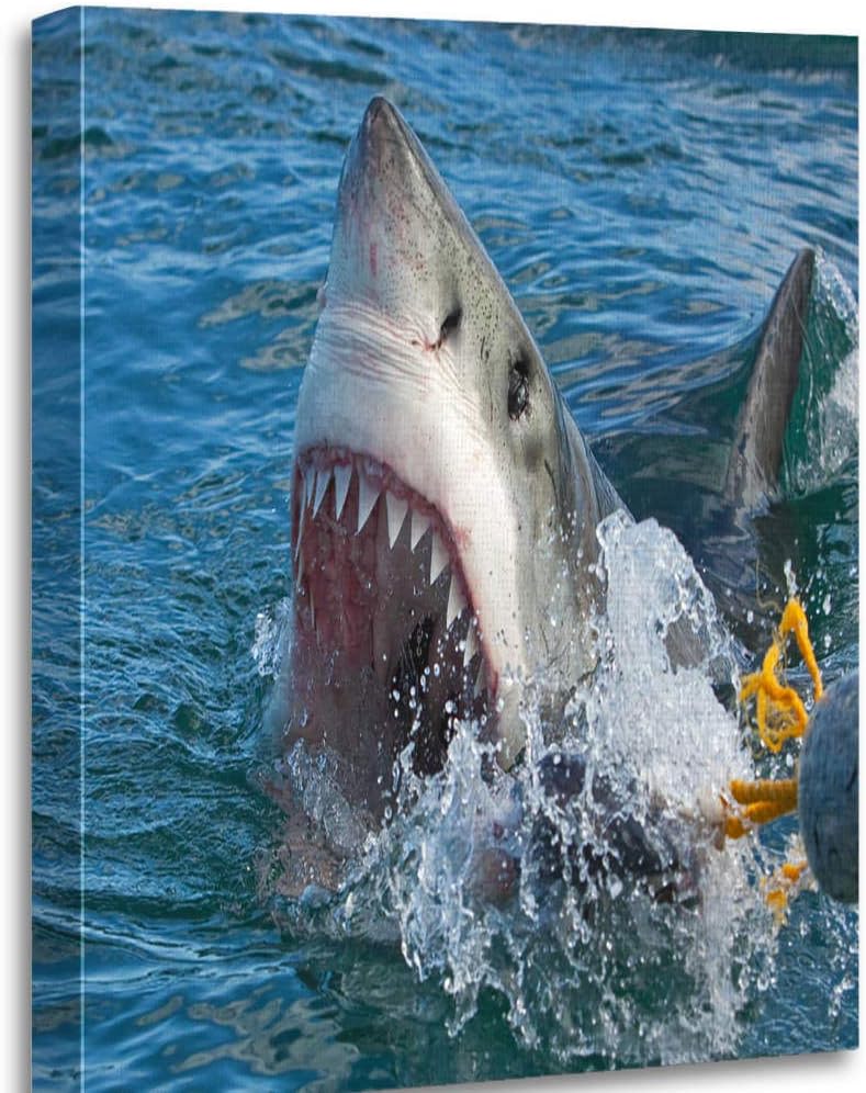Altuny Canvas Print Wall Art Painting Pictures Great White Shark Carcharodon Carcharias 16x20 Inch Artwork Modern Decor for Living Room Bedroom Bathroom Great Gift