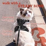 rabbitgoo Cat Harness and Lead Set Adjustable Escape Proof Reflective Purple S view 5