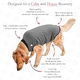 BellyGuard Dog Recovery Onesie X-Large Grey Cone Alternative view 5