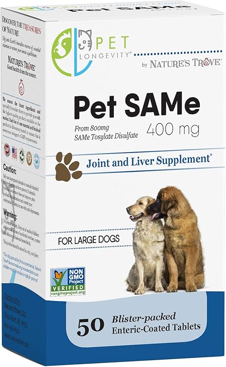 white and black pitbull