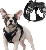 rabbitgoo Dog Harness Small Tactical Adjustable Molle Panel Reflective Vest