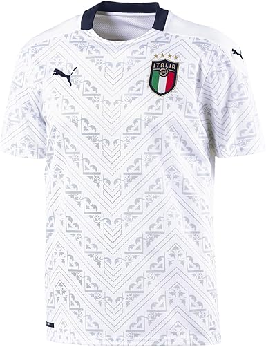figc jersey