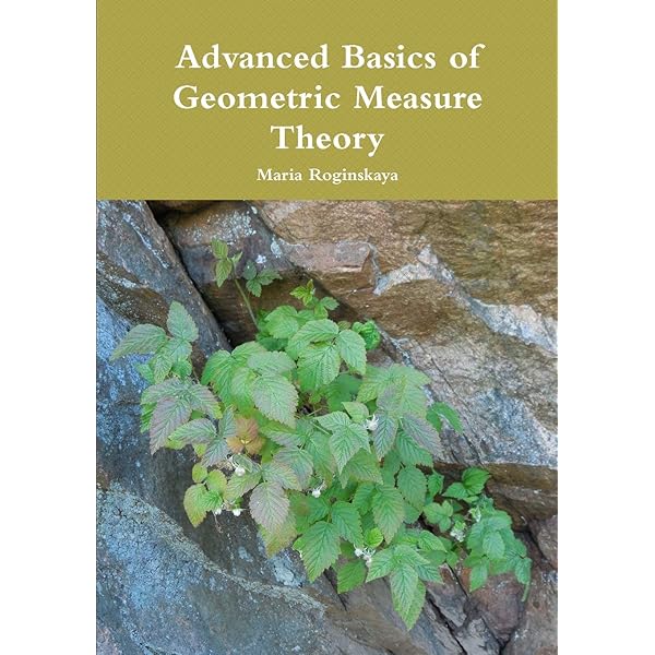 Geometric Measure Theory (Classics in Mathematics): Federer
