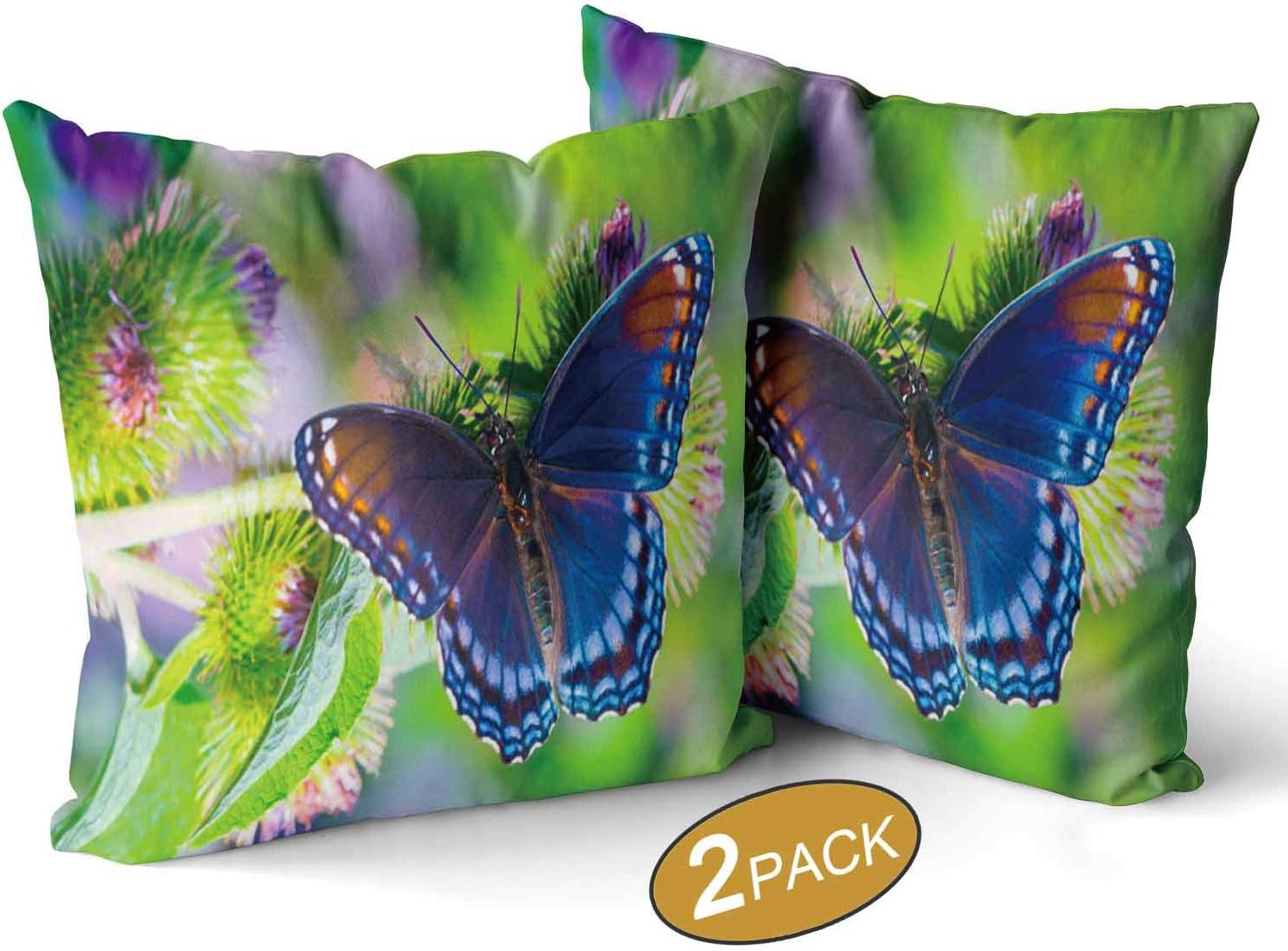 Nine City AA Red Spotted Admiral,Throw Pillow Cushion Cover Sofa Bed Throw Cushion Cover Decoration Set of 2 18" X 18"